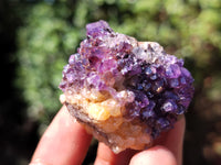 Natural Amethystos Amethyst Plates x 35 From Kwaggafontein, South Africa