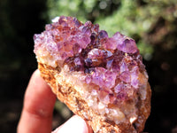 Natural Amethystos Amethyst Plates x 35 From Kwaggafontein, South Africa