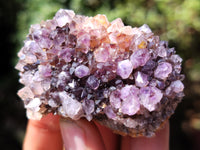 Natural Amethystos Amethyst Plates x 35 From Kwaggafontein, South Africa