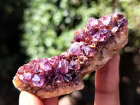 Natural Amethystos Amethyst Plates x 35 From Kwaggafontein, South Africa