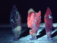 Natural Drusy Quartz Coated Calcite Pseudomorph Specimens x 12 From Lesotho