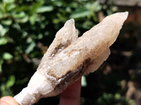 Natural Drusy Quartz Coated Calcite Pseudomorph Specimens x 12 From Lesotho