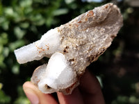 Natural Drusy Quartz Coated Calcite Pseudomorph Specimens x 12 From Lesotho