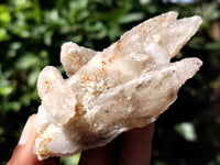 Natural Drusy Quartz Coated Calcite Pseudomorph Specimens x 12 From Lesotho