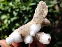 Natural Drusy Quartz Coated Calcite Pseudomorph Specimens x 12 From Lesotho