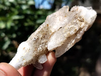 Natural Drusy Quartz Coated Calcite Pseudomorph Specimens x 12 From Lesotho