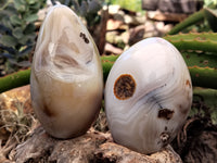 Polished Mix Of Selected Agate Standing Free Forms x 4 From Madagascar