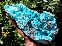 Natural Drusy Coated Stalactitic Chrysocolla Specimens x 1 From Likasi, Congo