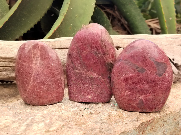 Polished Rhodonite Standing Free Forms x 6 From Rhusinga, Zimbabwe