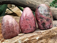 Polished Rhodonite Standing Free Forms x 6 From Rhusinga, Zimbabwe