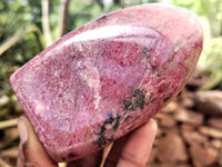 Polished Rhodonite Standing Free Forms x 6 From Rhusinga, Zimbabwe