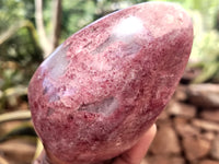 Polished Rhodonite Standing Free Forms x 6 From Rhusinga, Zimbabwe