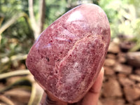 Polished Rhodonite Standing Free Forms x 6 From Rhusinga, Zimbabwe