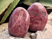 Polished Rhodonite Standing Free Forms x 6 From Rhusinga, Zimbabwe