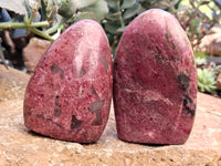 Polished Rhodonite Standing Free Forms x 6 From Rhusinga, Zimbabwe