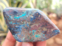 Polished Shattuckite with Azurite and Chrysocolla Free Forms x 12 From Congo