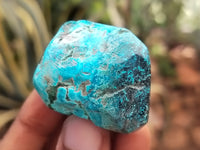 Polished Shattuckite with Azurite and Chrysocolla Free Forms x 12 From Congo