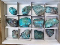 Polished Shattuckite with Azurite and Chrysocolla Free Forms x 12 From Congo