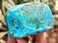 Polished Shattuckite with Azurite and Chrysocolla Free Forms x 12 From Congo