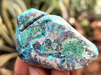 Polished Shattuckite with Azurite and Chrysocolla Free Forms x 12 From Congo