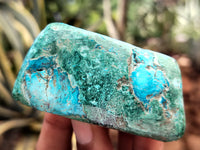 Polished Shattuckite with Azurite and Chrysocolla Free Forms x 12 From Congo