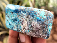 Polished Shattuckite with Azurite and Chrysocolla Free Forms x 12 From Congo