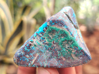 Polished Shattuckite with Azurite and Chrysocolla Free Forms x 12 From Congo