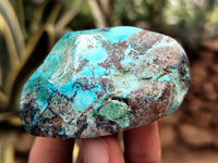 Polished Shattuckite with Azurite and Chrysocolla Free Forms x 12 From Congo