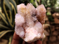 Natural Ametrine and Amethyst Spirit Quartz Clusters x 12 From South Africa