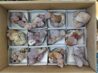 Natural Ametrine and Amethyst Spirit Quartz Clusters x 12 From South Africa