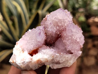 Natural Ametrine and Amethyst Spirit Quartz Clusters x 12 From South Africa