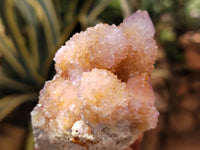 Natural Ametrine and Amethyst Spirit Quartz Clusters x 12 From South Africa