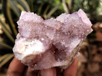 Natural Ametrine and Amethyst Spirit Quartz Clusters x 12 From South Africa