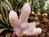 Natural Ametrine and Amethyst Spirit Quartz Clusters x 12 From South Africa