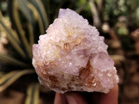 Natural Ametrine and Amethyst Spirit Quartz Clusters x 12 From South Africa