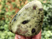 Polished Leopard Stone Standing Free Forms x 12 From Nyanga, Zimbabwe