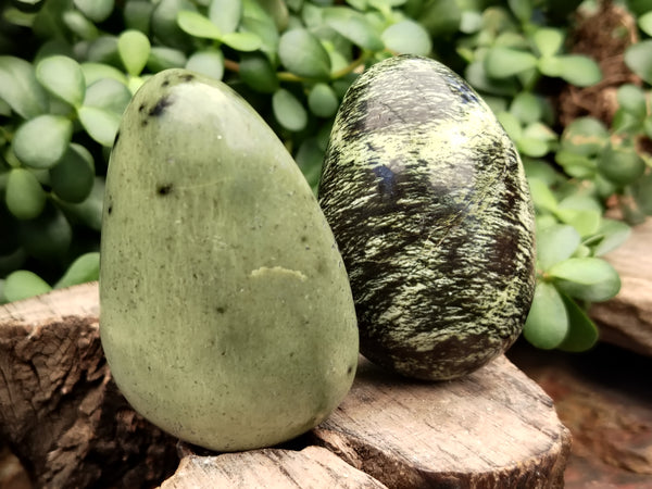 Polished Leopard Stone Standing Free Forms x 12 From Nyanga, Zimbabwe