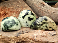 Polished Leopard Stone Standing Free Forms x 12 From Nyanga, Zimbabwe