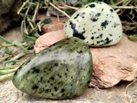 Polished Leopard Stone Standing Free Forms x 12 From Nyanga, Zimbabwe