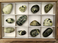 Polished Leopard Stone Standing Free Forms x 12 From Nyanga, Zimbabwe