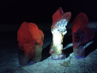 Natural Drusy Quartz Coated Calcite Pseudomorp Crystals x 20 From Lesotho