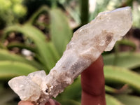 Natural Drusy Quartz Coated Calcite Pseudomorp Crystals x 20 From Lesotho