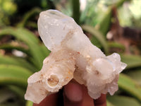 Natural Drusy Quartz Coated Calcite Pseudomorp Crystals x 20 From Lesotho