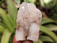 Natural Drusy Quartz Coated Calcite Pseudomorp Crystals x 20 From Lesotho