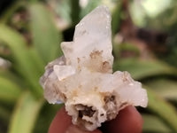 Natural Drusy Quartz Coated Calcite Pseudomorp Crystals x 20 From Lesotho