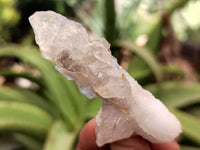 Natural Drusy Quartz Coated Calcite Pseudomorp Crystals x 20 From Lesotho