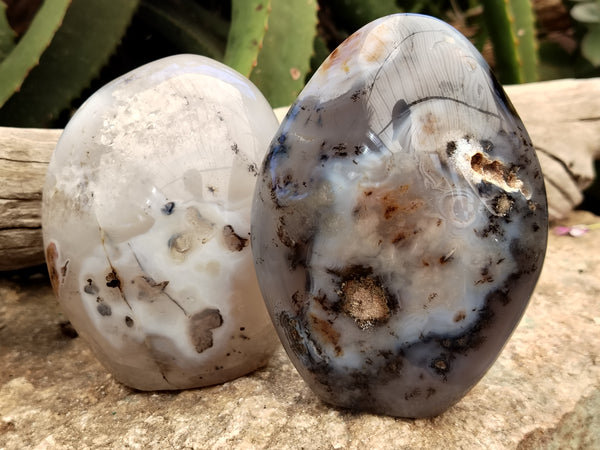 Polished Dendritic Agate Standing Free Forms x 2 From Madagascar