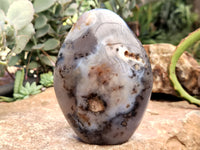 Polished Dendritic Agate Standing Free Forms x 2 From Madagascar