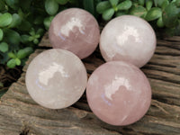 Polished Rose Quartz Spheres x 4 From Ambatondrazaka, Madagascar