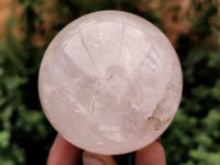 Polished Rose Quartz Spheres x 4 From Ambatondrazaka, Madagascar